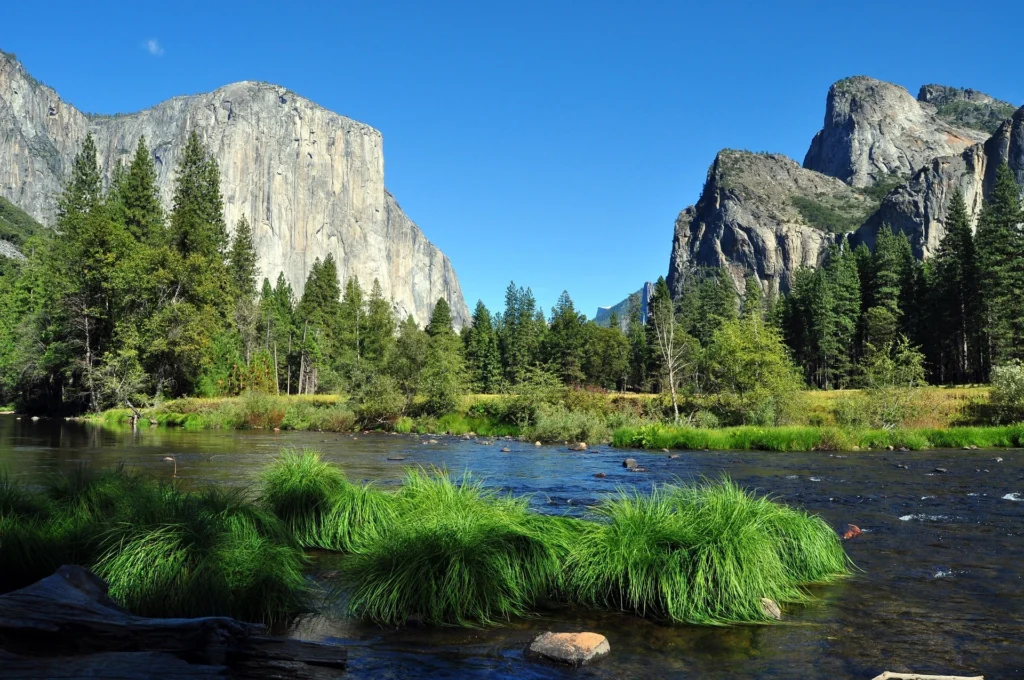 Yosemite National Park 